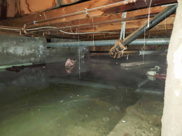 , NJ Water damage restoration Company