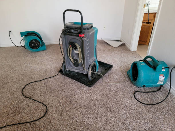 Best Carpet water damage restoration  in Dover, NJ