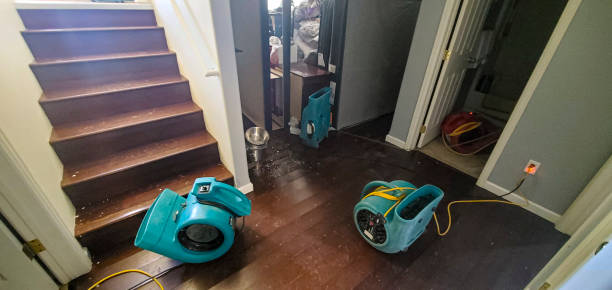 Best 24-hour water damage restoration  in Dover, NJ