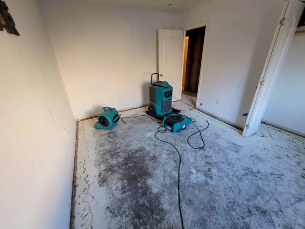 Best Fire Damage Restoration  in Dover, NJ