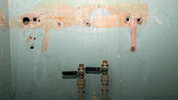 Best 24-hour water damage restoration  in Dover, NJ