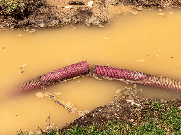 Best Local water damage restoration  in Dover, NJ