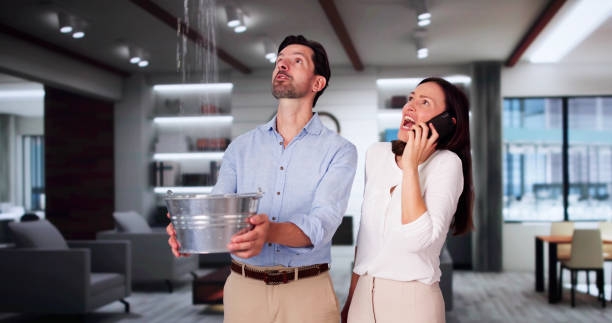 Best Carpet water damage restoration  in Dover, NJ