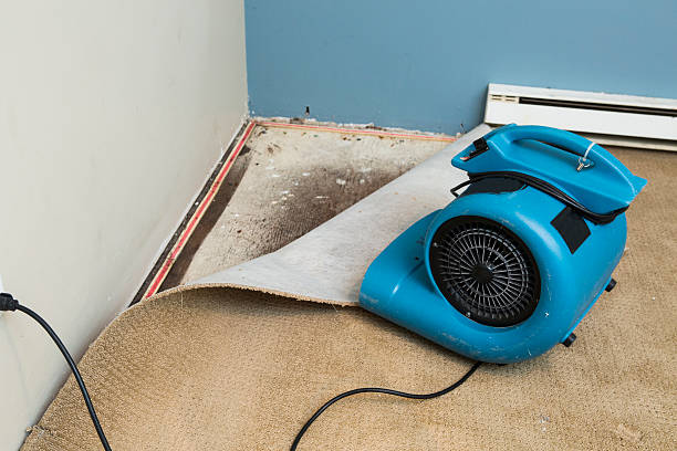 Best Water damage cleanup near me  in Dover, NJ